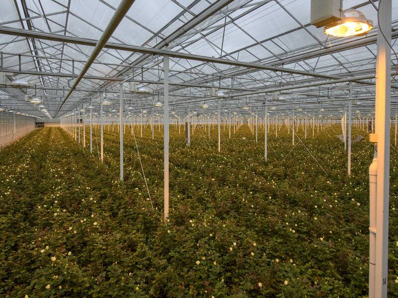 Wat is calorische correctie?