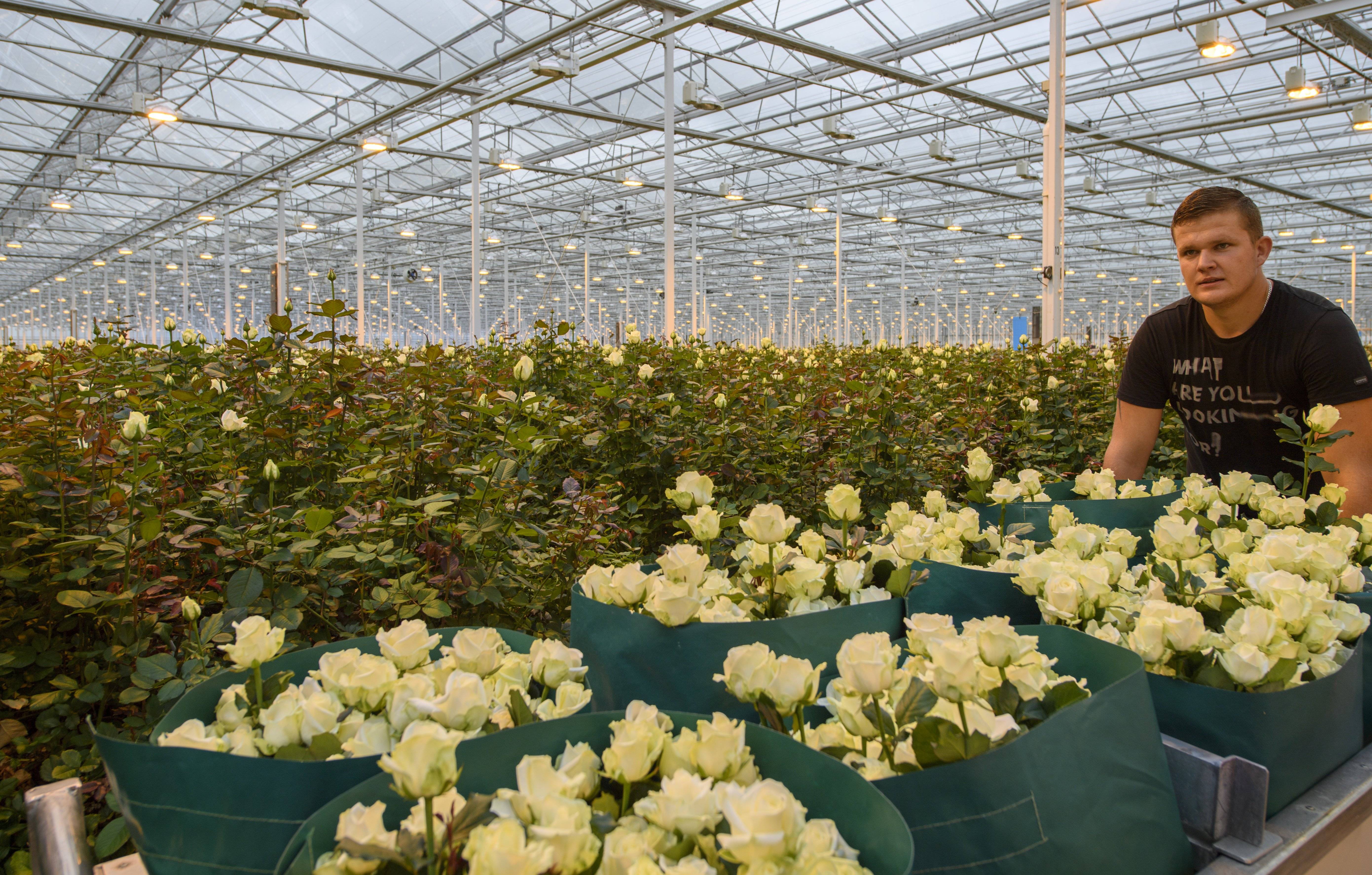 Slimme aansturing van de batterij 