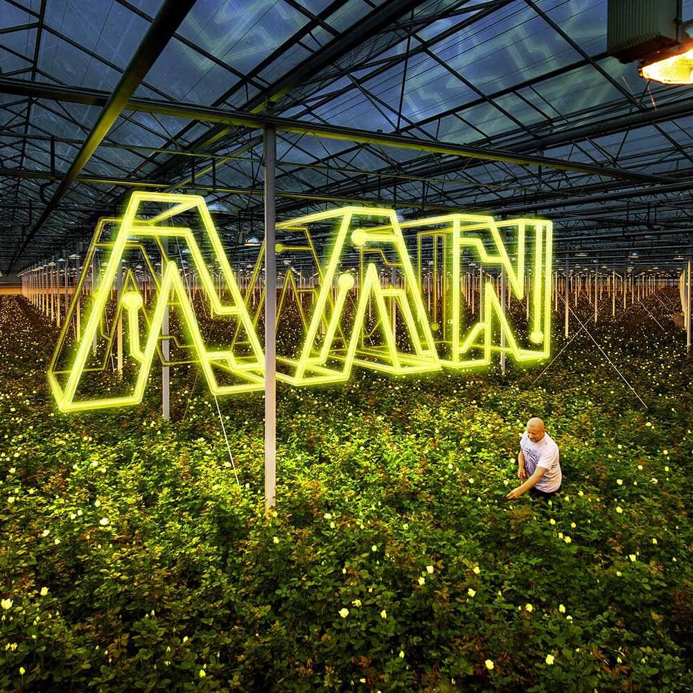 Heb je een transformator nodig? 