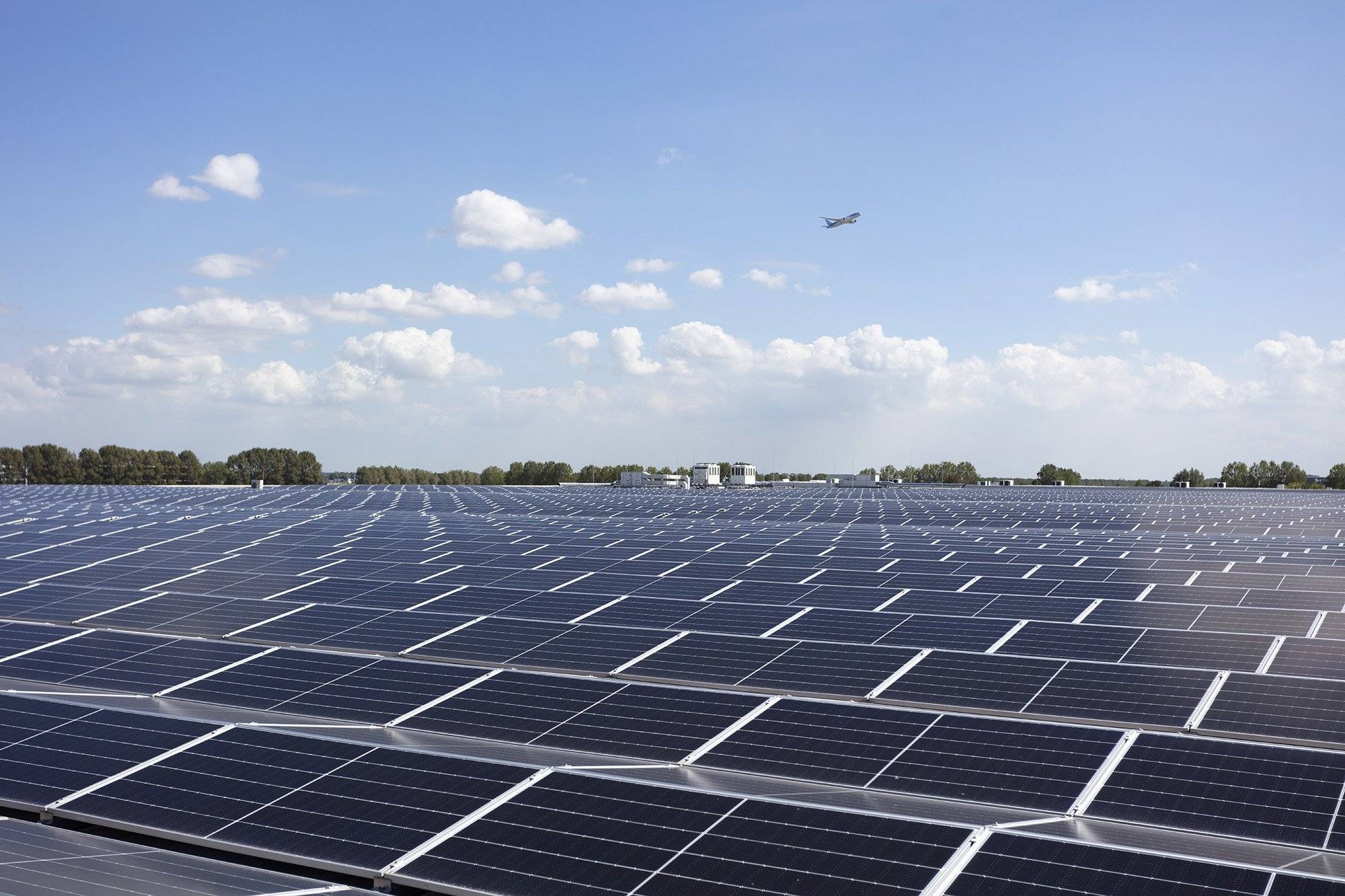 Twaalf bedrijven op vier netaansluitingen 